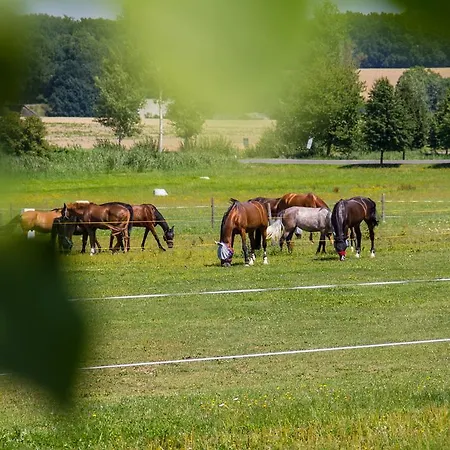 Equitana Ξενοδοχείο Březnice